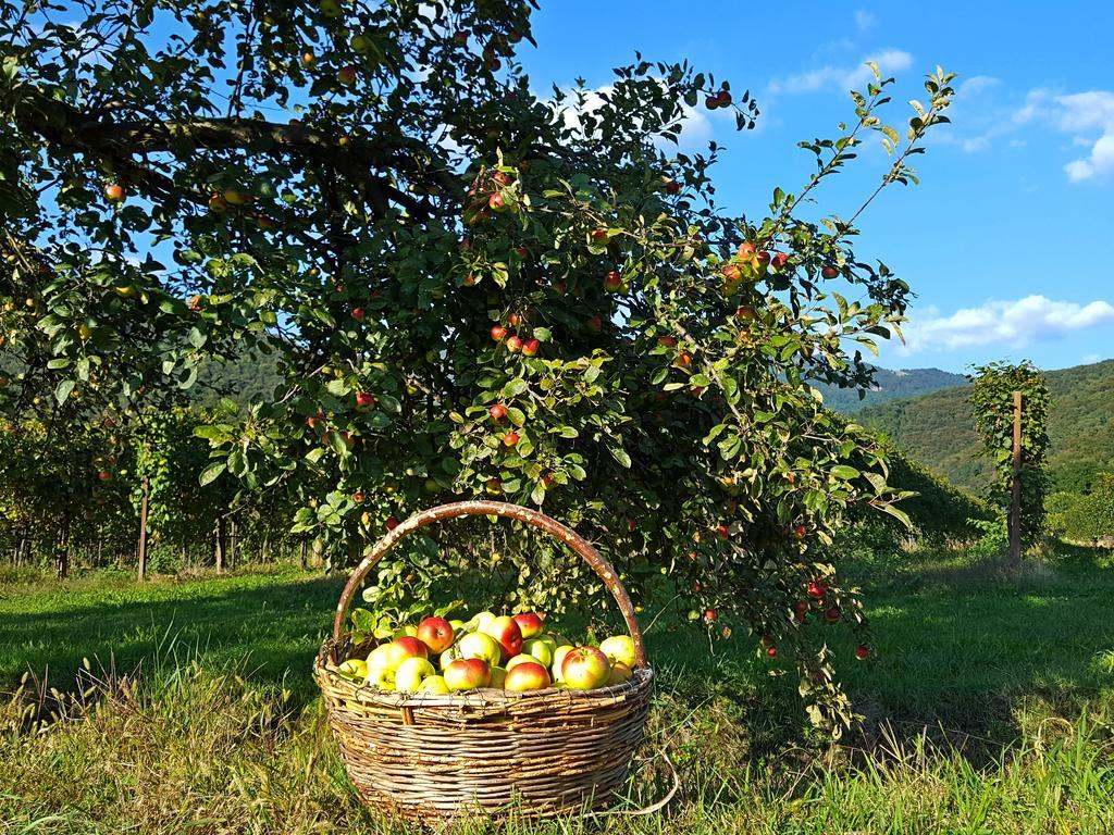 Affittacamere Valnascosta Faedis Bagian luar foto