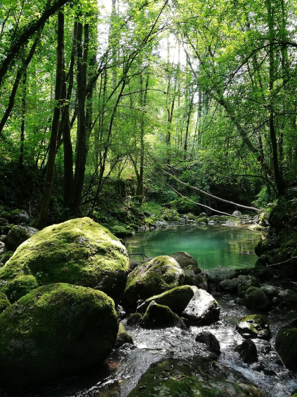 Affittacamere Valnascosta Faedis Bagian luar foto